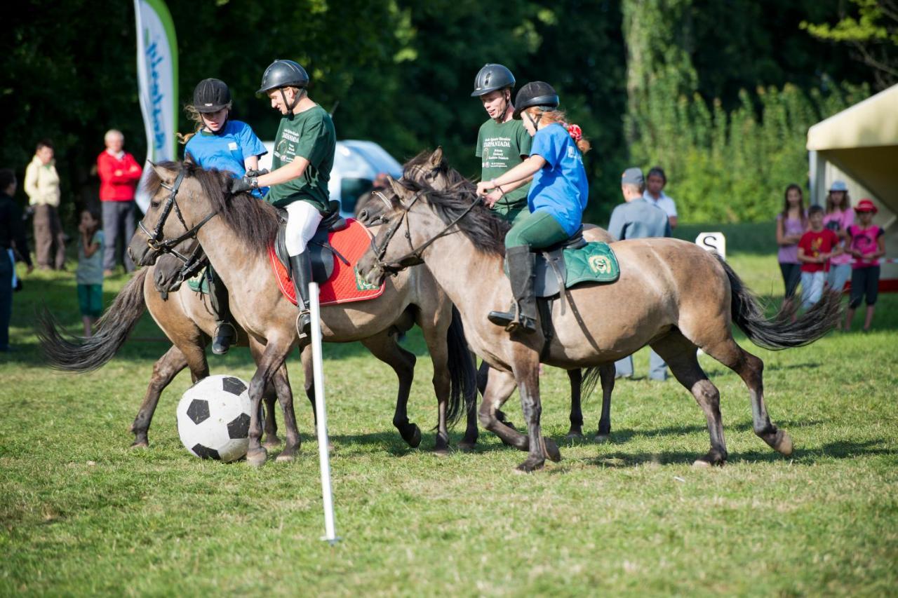 Domek Trolla Sierakow  Kültér fotó